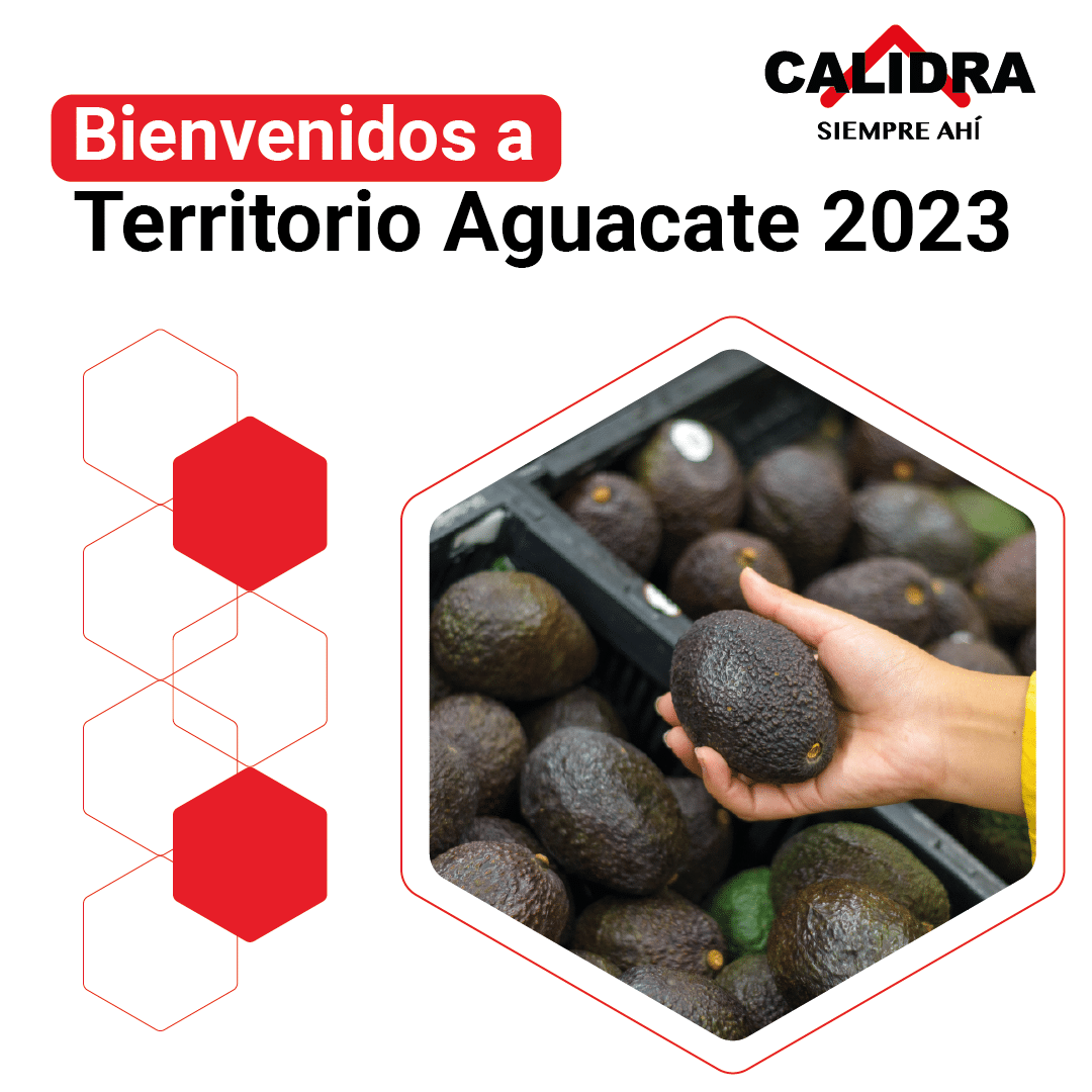 Banner Territorio Aguacate 2023 celular